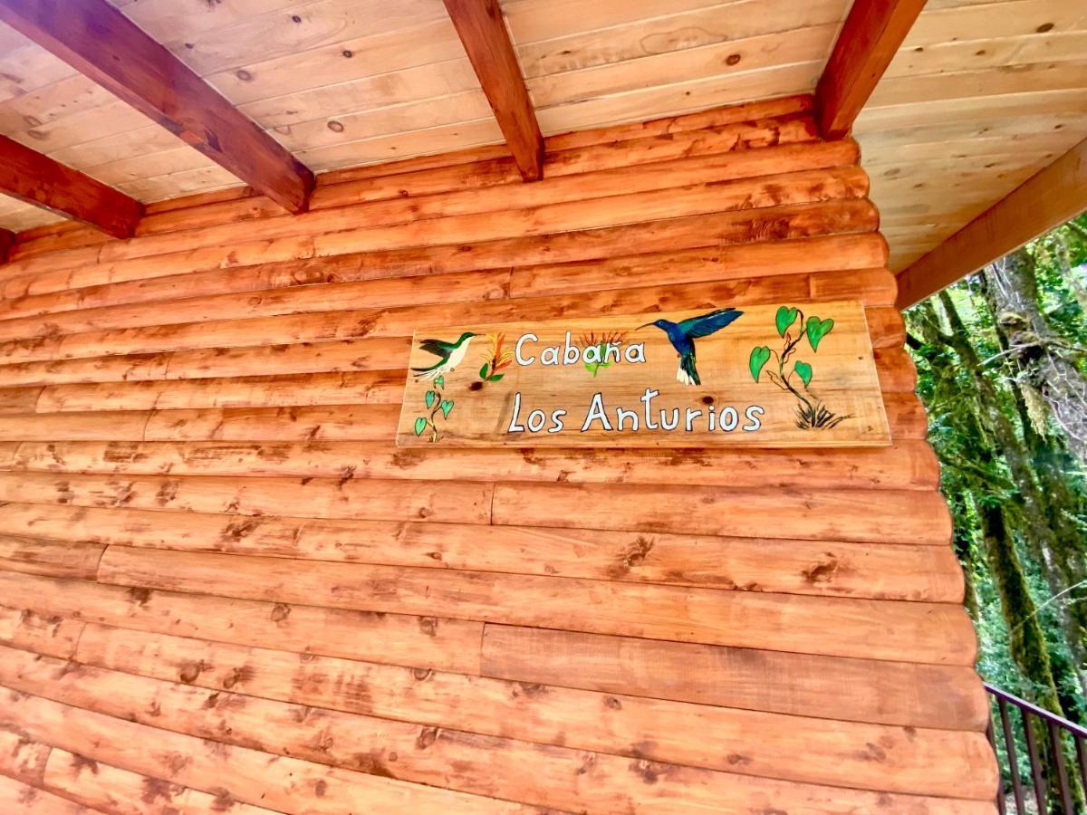 Cabana Anturios Σαν Χοσέ Εξωτερικό φωτογραφία