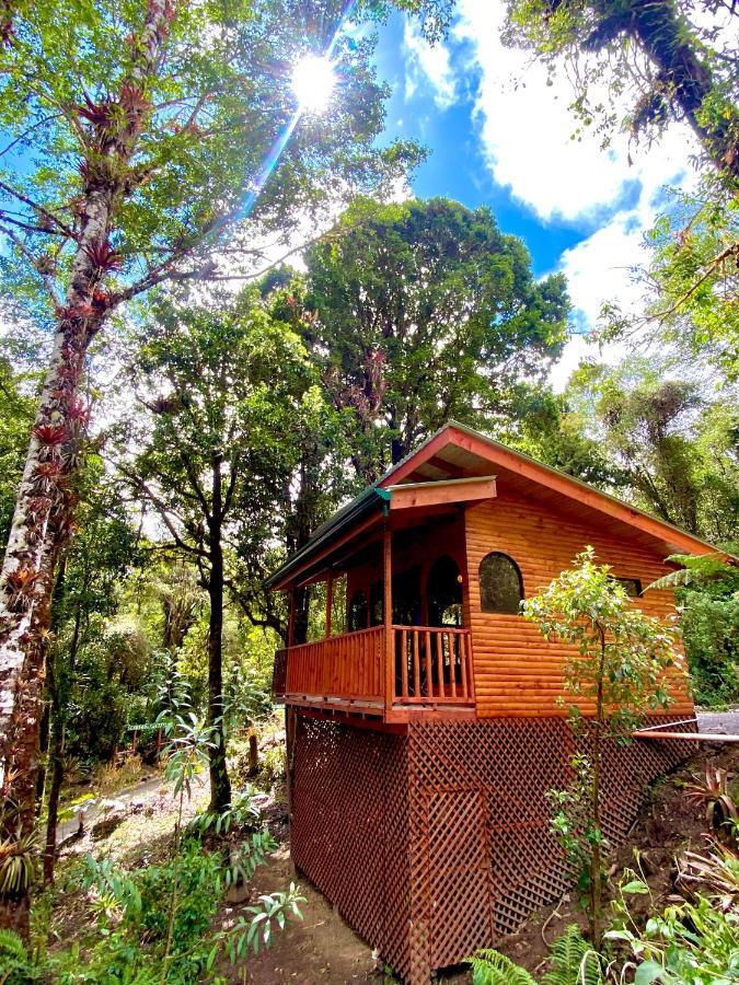 Cabana Anturios Σαν Χοσέ Εξωτερικό φωτογραφία