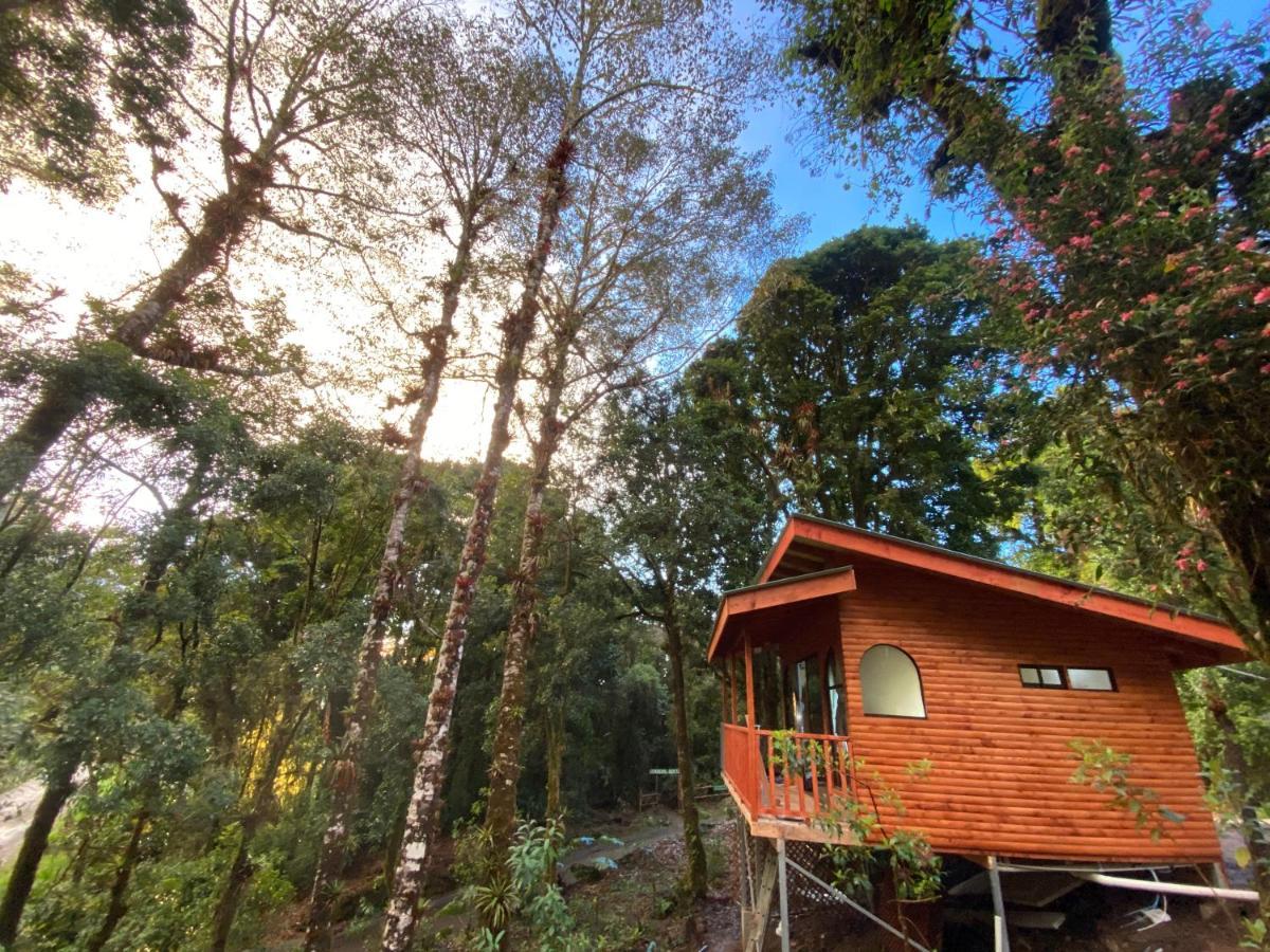Cabana Anturios Σαν Χοσέ Εξωτερικό φωτογραφία