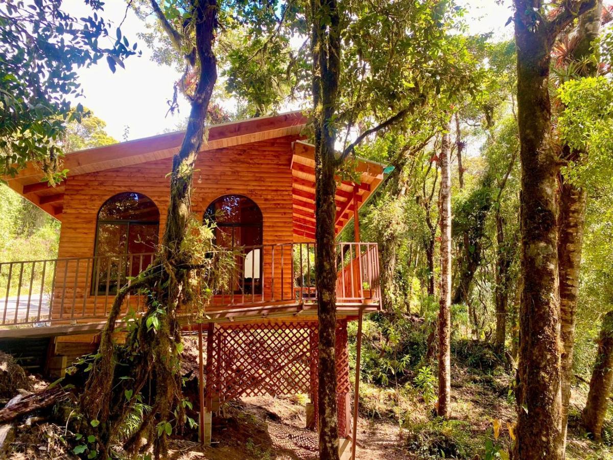 Cabana Anturios Σαν Χοσέ Εξωτερικό φωτογραφία