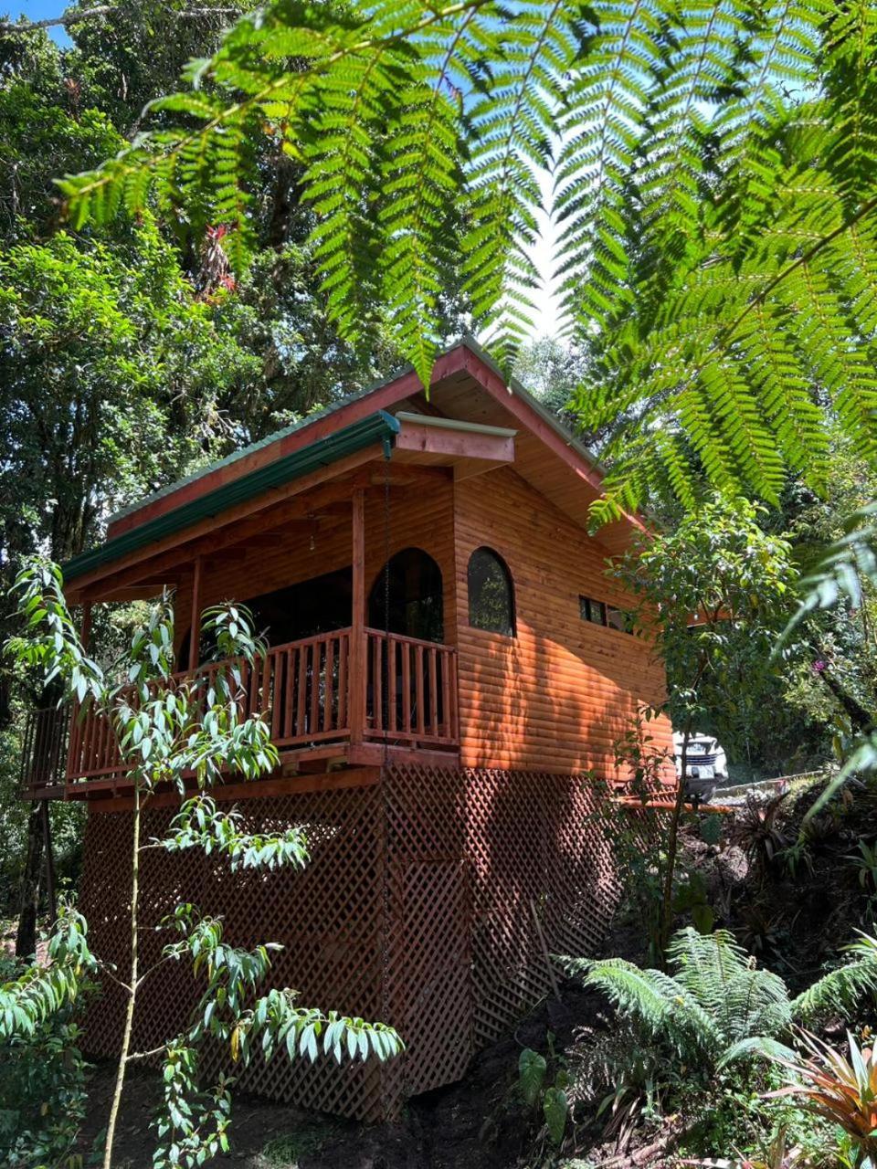Cabana Anturios Σαν Χοσέ Εξωτερικό φωτογραφία